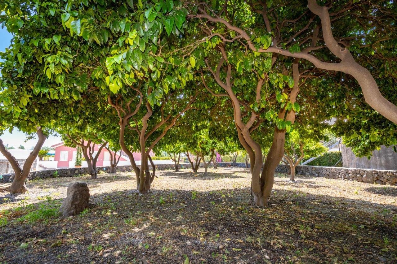 Dipladenia Garden Country Resort Mascali Exteriör bild