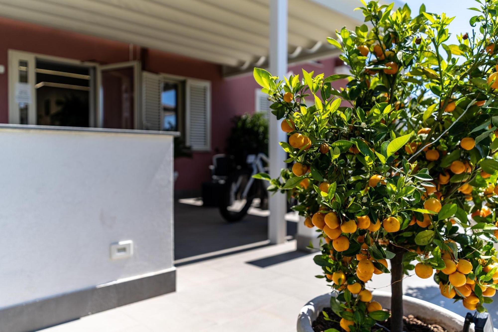 Dipladenia Garden Country Resort Mascali Exteriör bild